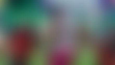 MyCole Pruitt talks about his NFL longevity and pride in Saluki Football