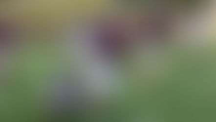 Photos: Salukis vs. Thomas More