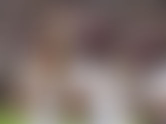 DJ Williams reacts to Payton Award finalist honor