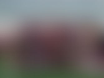 Wide receivers room at SIU bolstered by addition of Fabian McCray and return of Vinson Davis III