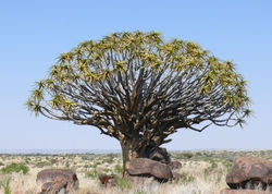 2009-04-10 10-44-38_0147