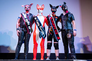 Interview to Viking (Mr Puppy Mx'19), Trumpet (Mr Puppy UK'19), Ritchi (Mr Puppy Czech Repub
