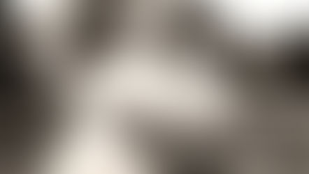 הגן הכי טוב שלא יקבל את הילד שלי