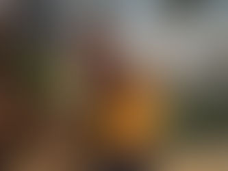 BIS treated to ArtReach musicals