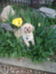 IMG_2801.jpeg