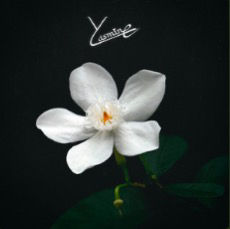 L’artista Yari presenta il brano “Yasmine”, una storia di coraggio e resilienza al dolore.