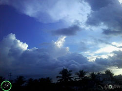 My Photography 013