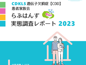 らぶはんず実態調査レポート