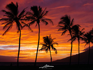 Aloha from Kihei, Maui