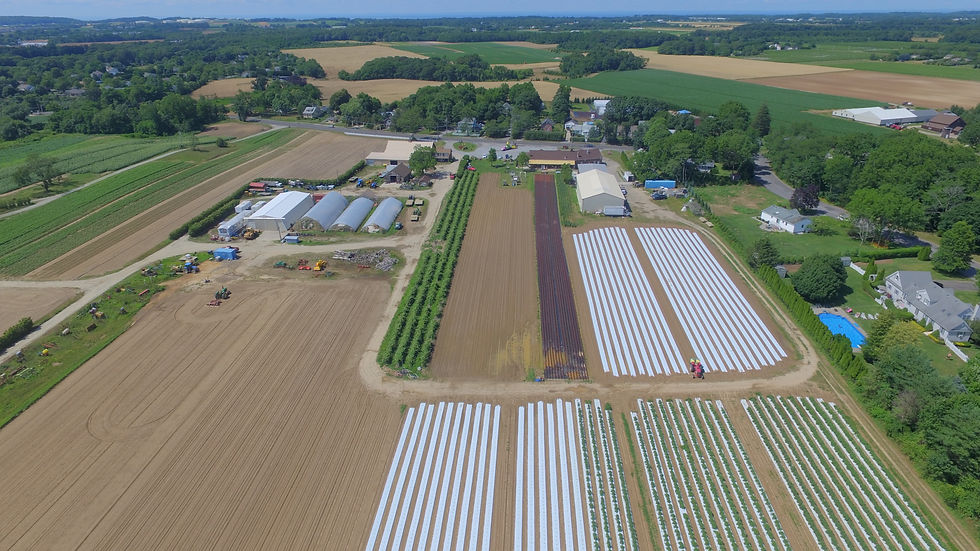 Home Farm