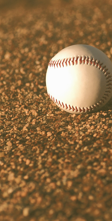 Baseball in Field_edited_edited.jpg