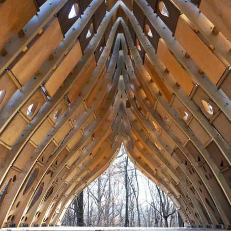 House of the Month - The Fab Tree Hab