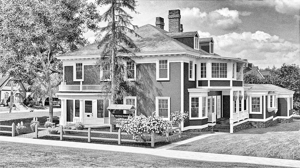Portfolio Trudeau 3 - Print GRAYSCALE