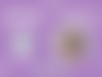 Professores que inspiram - Esmeralda Cravançola