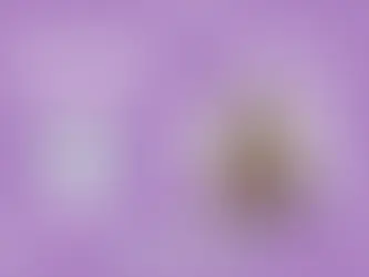 Professores que inspiram | Flavia Arante