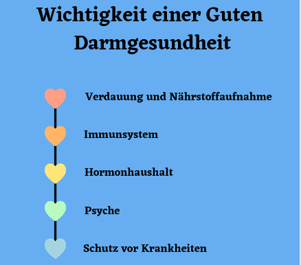 Wichtigkeit einer Guten Darmgesundheit