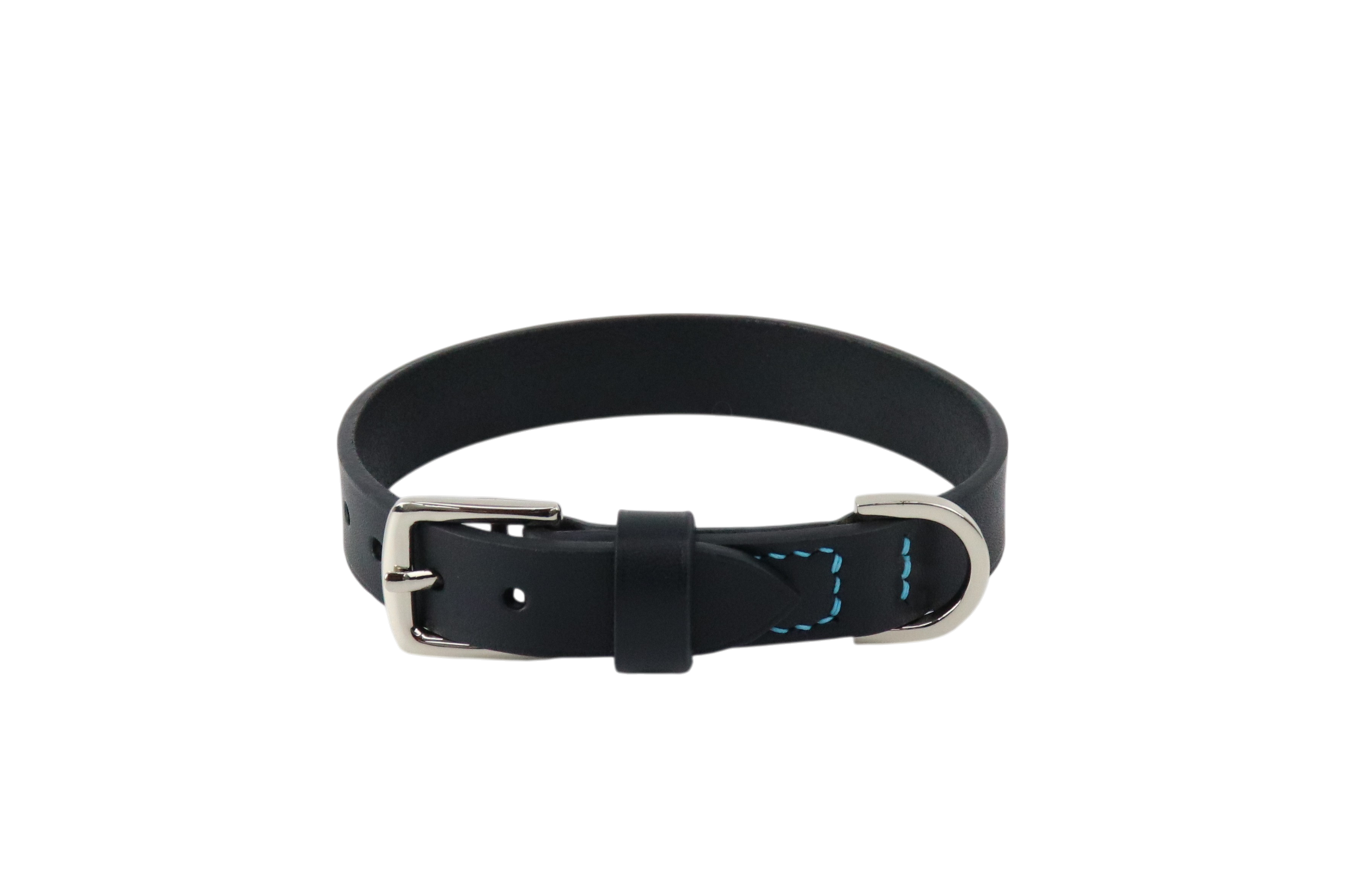 Dog Collar /1Session
