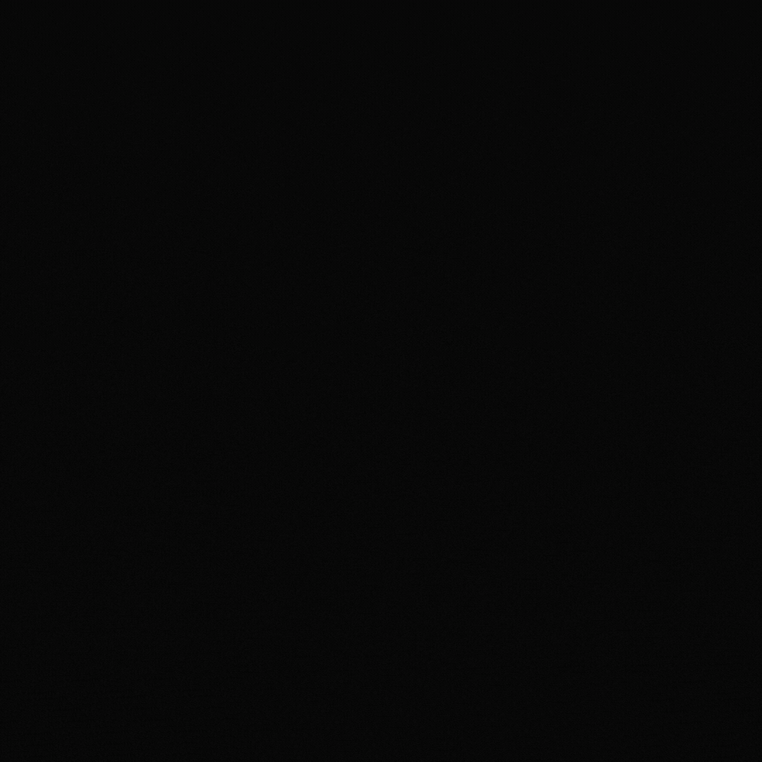 wawa_branding&identity (1).gif