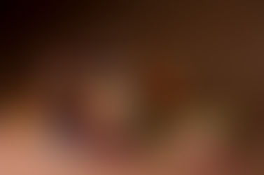 Preface to Heidegger's Bible "Handbook"