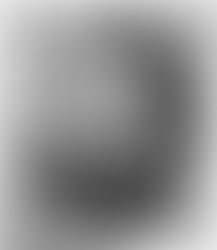 Heidegger's Bible Handbook: Pentateuch: Lutheran Interpreters