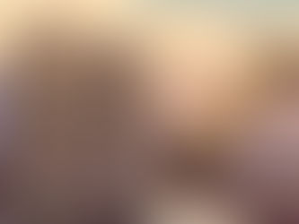 Heidegger's Bible Handbook: Old Testament in General: Definition of the Canonical Books of the OT