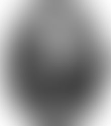 Heidegger's Bible Handbook: Genesis: Lutheran Interpreters