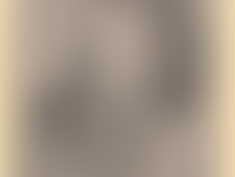 Heidegger's Bible Handbook: Mark: Interpreters