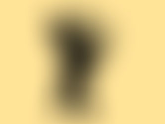 Chapter III:11:  Controversy with Rome over Fundamental Articles, Part 2