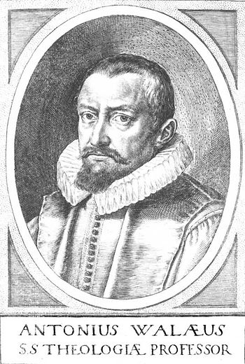 Antonius Walaeus