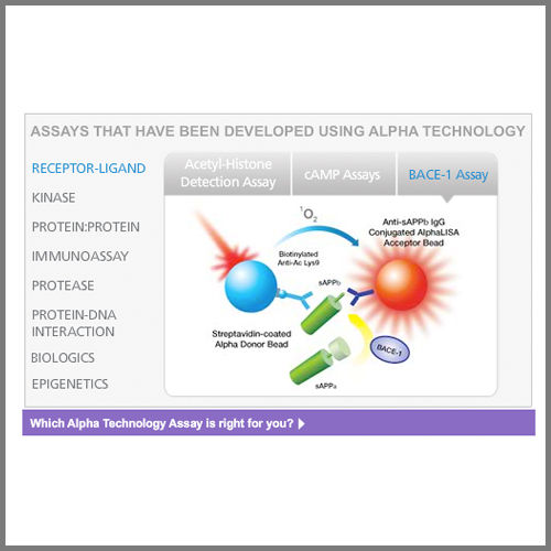 Alpha Technology Flash Tool