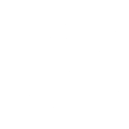 Aaron Forst for Senate Logo