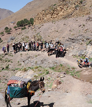 WhatsApp Image 2025-05-17 at 10.56.38 (1).jpeg