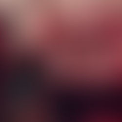 12th Night in Virginia