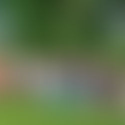 Eastern Tennessee May Day