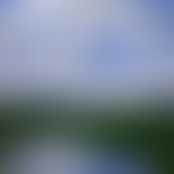 Thorshof Poetry Corner