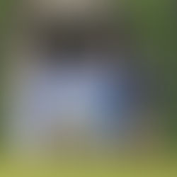 Midsummer in New Hampshire