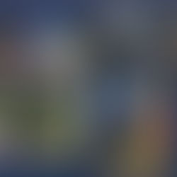 161 families fed at AFA Food Pantries in the month of September