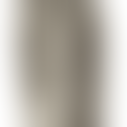 Ancient Europeans before the Viking Age