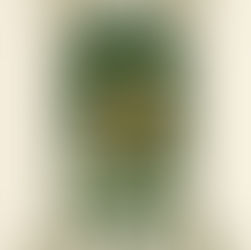 NJÖRÐSHOF IS PAID OFF!