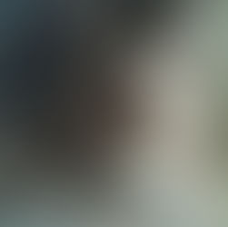 The Wild Hunt: The Aegis of Óðinn