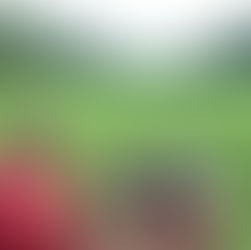 Sigrheim, Tennessee Work Day