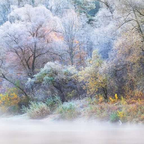 Poetry of a Yuletide Winter