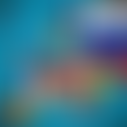 Declaration of Purpose II