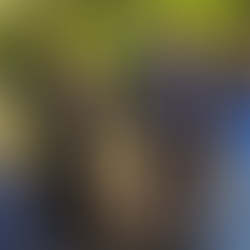 Words from the Alsherjargothi