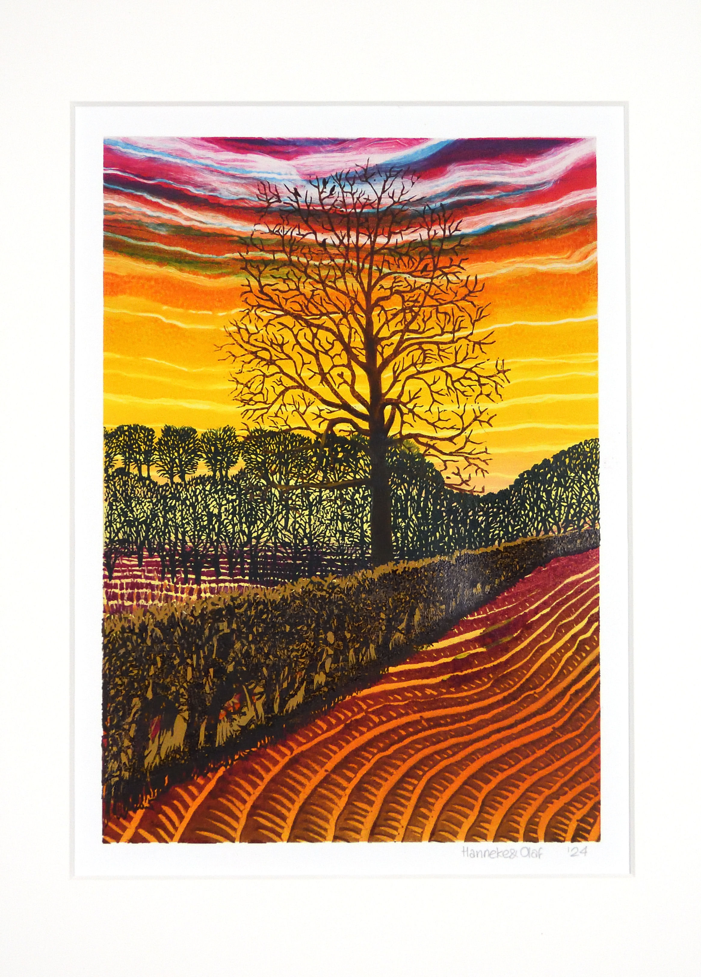 Wandeling over de 'oude trambaan' 5