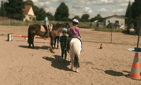 Reitpädagogik_Bild_Website_edited.jpg