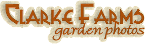 header_CF_gdn_photos.gif