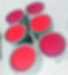20240309_120949_edited_edited.jpg
