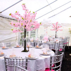 0f867c20-8e48-460a-b40d-79547212ede7_edi