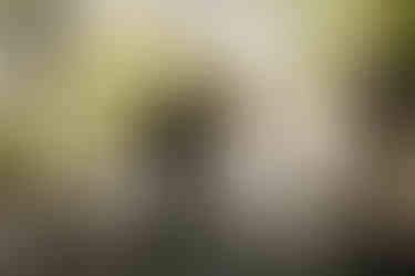 wedding regrets and post wedding regrets